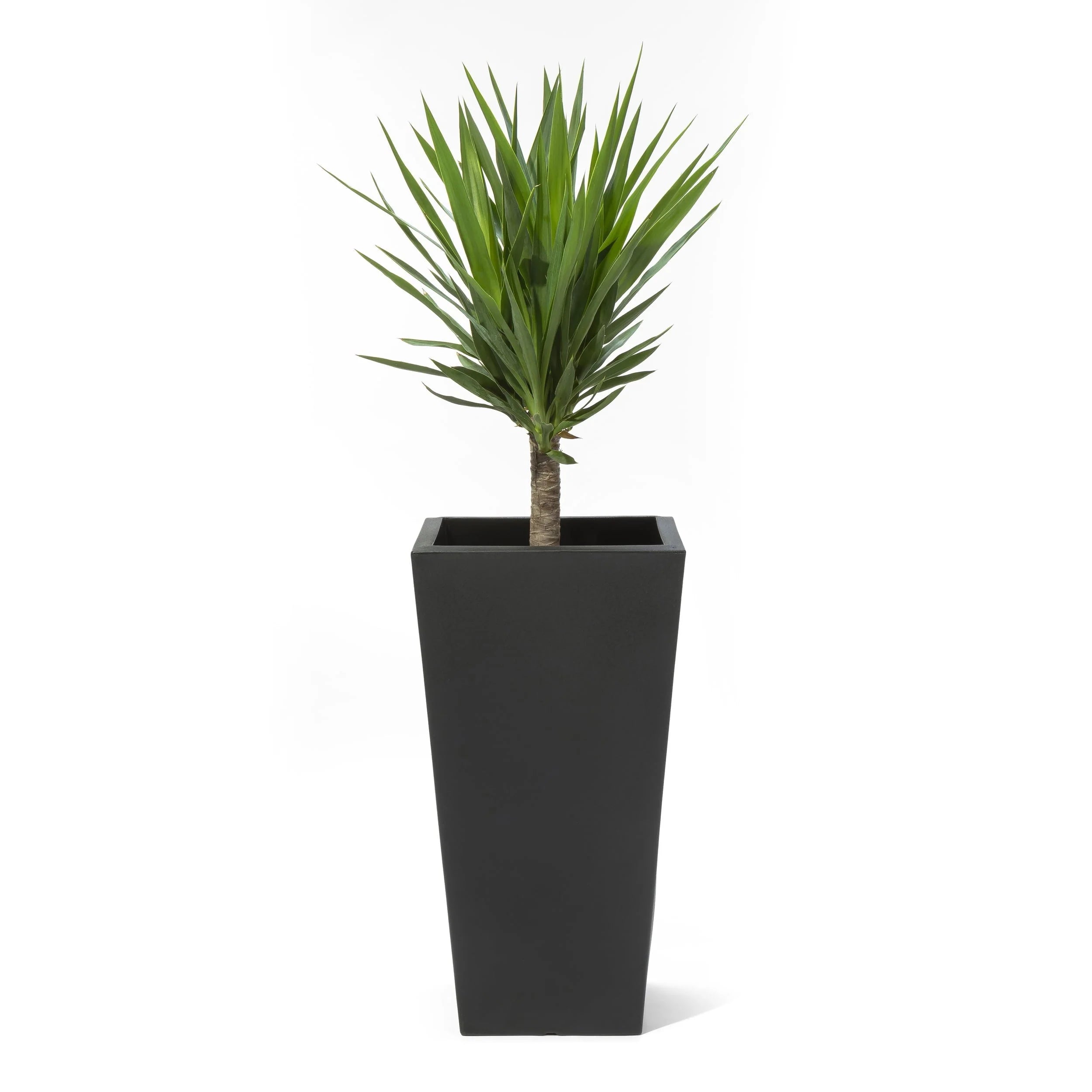 Step2 Tremont 2pk Plastic Black Square Planter 15" W x 15" D x 28" H