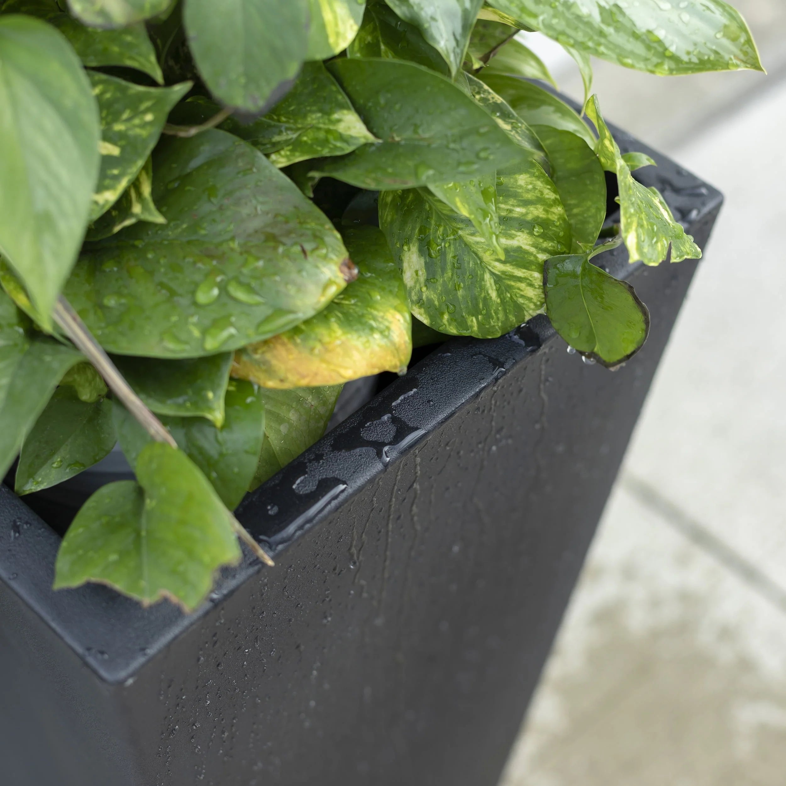 Step2 Tremont 2pk Plastic Black Square Planter 15" W x 15" D x 28" H