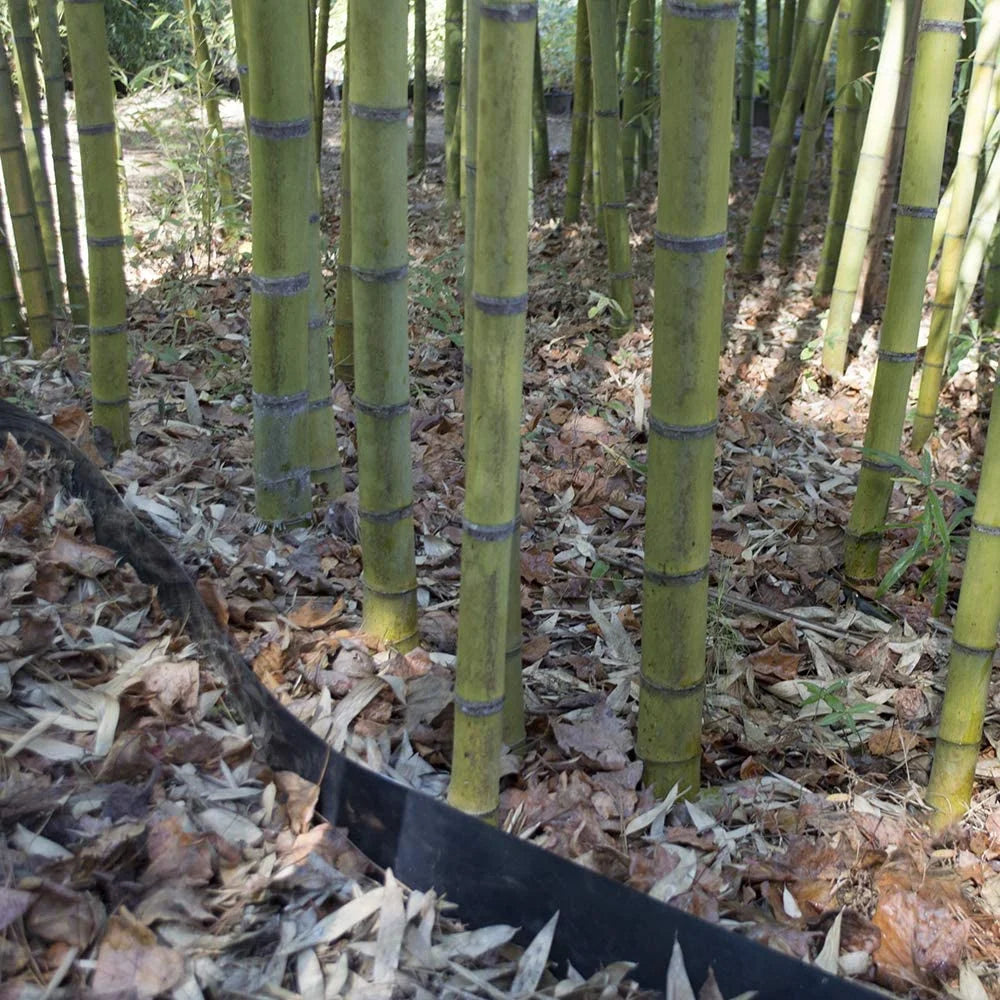 40 feet Long x 24 inch x 60 mil - Bamboo Root Barrier/Water Barrier