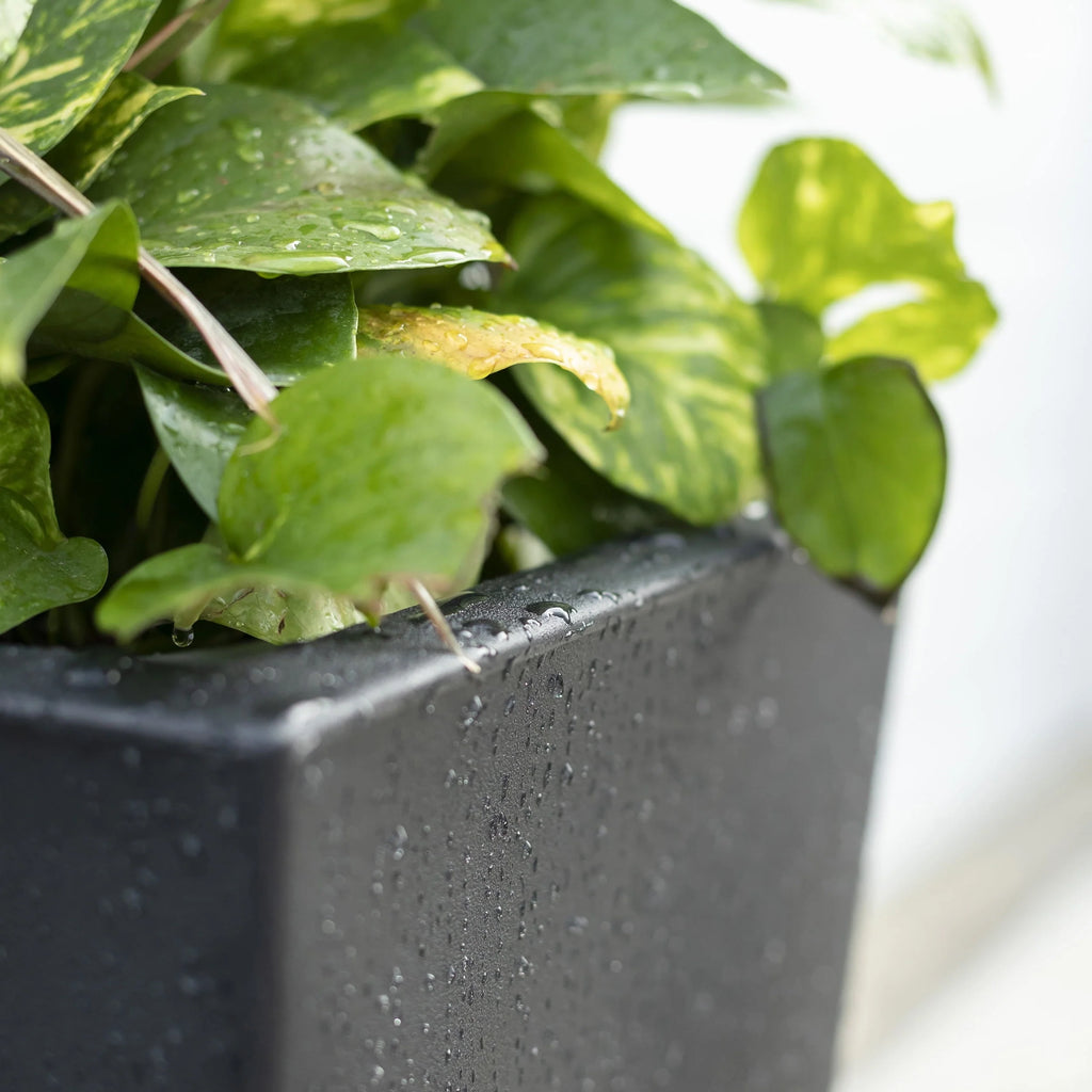 Step2 Tremont 2pk Plastic Black Square Planter 15" W x 15" D x 28" H