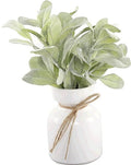 Mainstays Artificial Lamb's Ear in White Ceramic Pot (11.5"H x 7"W x 7"D)