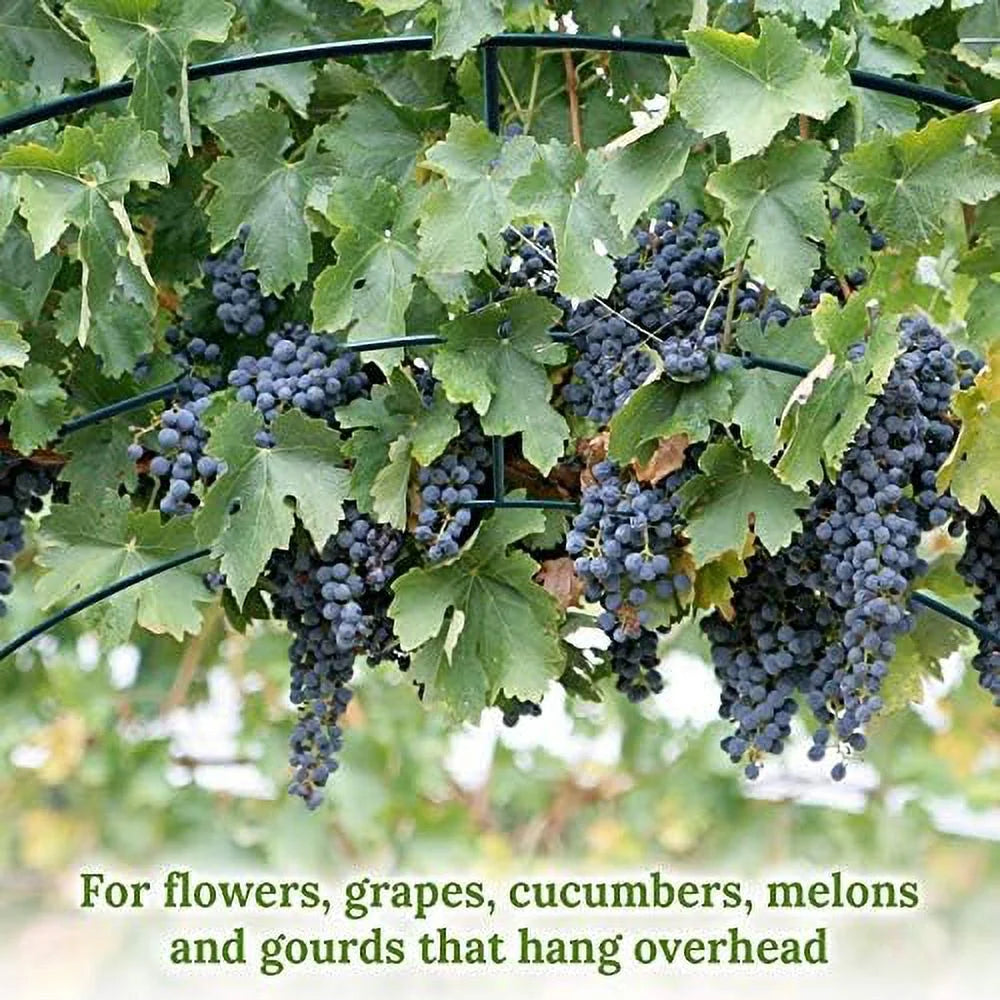 Steel Garden Arch Metal Garden Arch Multi-Size Climbing Plants Arch Arbor (6.5'x 7' x 7.2')