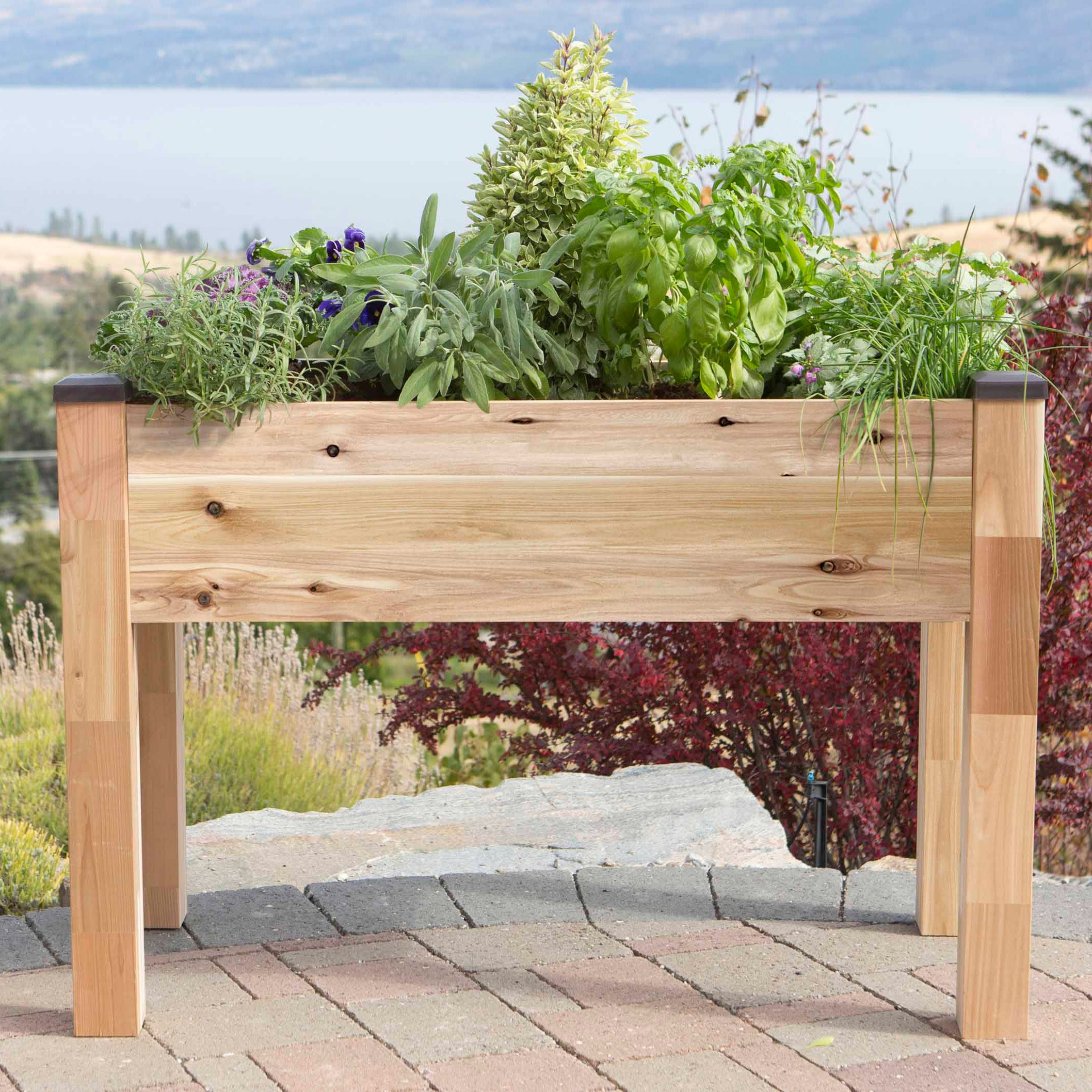 CedarCraft Elevated Cedar Planter 34' x 49' x 30'