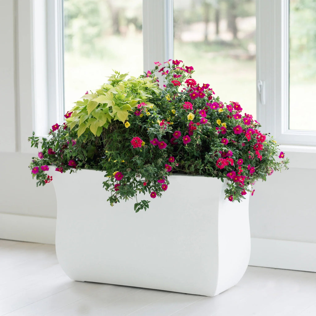 36 x 16 x 22 in. Valencia Long - Black